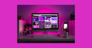 Freelance Web Developer